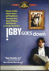 cover Igby Goes Down